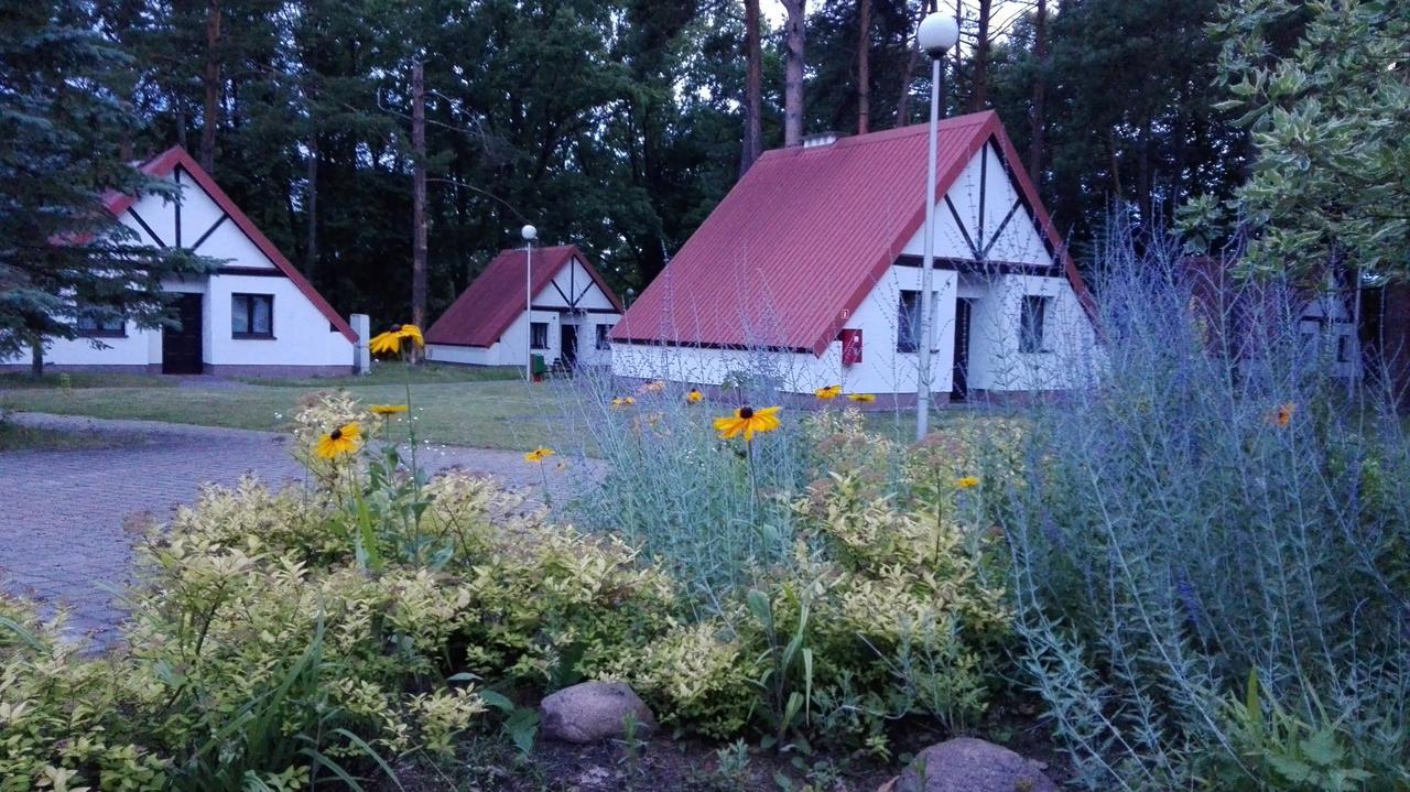 Hotel Osrodek Szkoleniowo - Wypoczynkowy Guzianka Ruciane-Nida Exterior foto