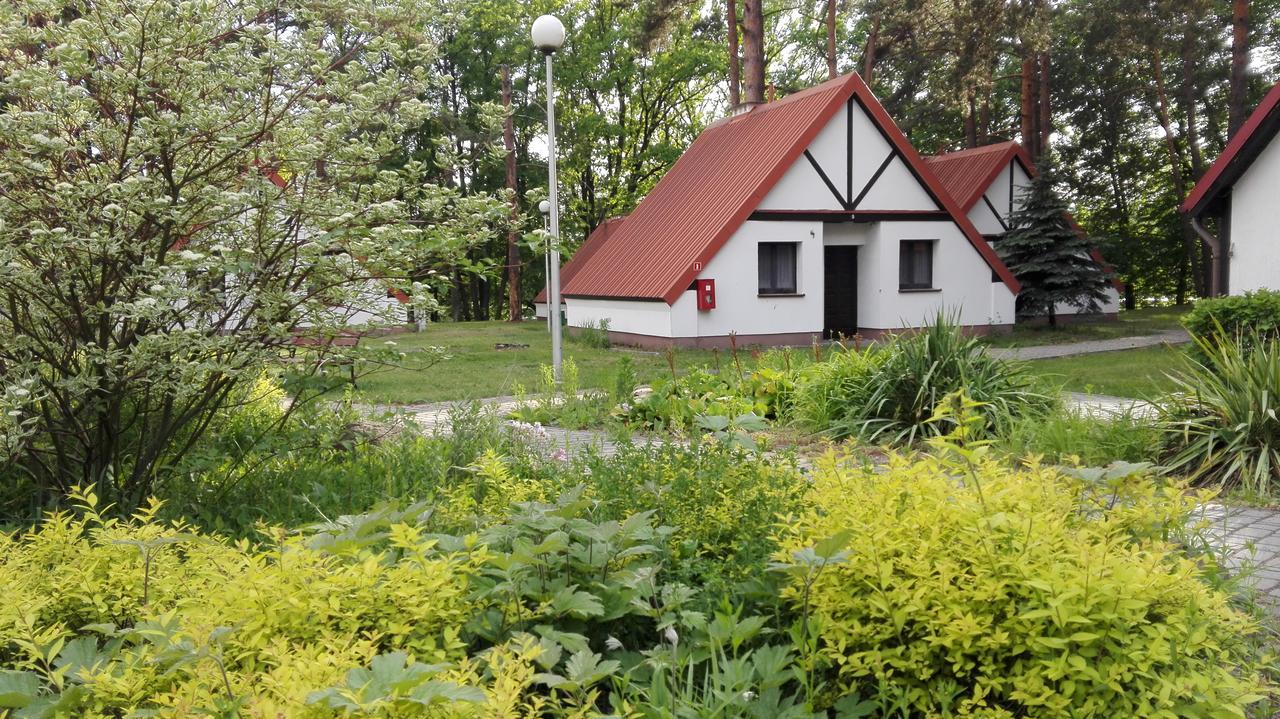 Hotel Osrodek Szkoleniowo - Wypoczynkowy Guzianka Ruciane-Nida Exterior foto